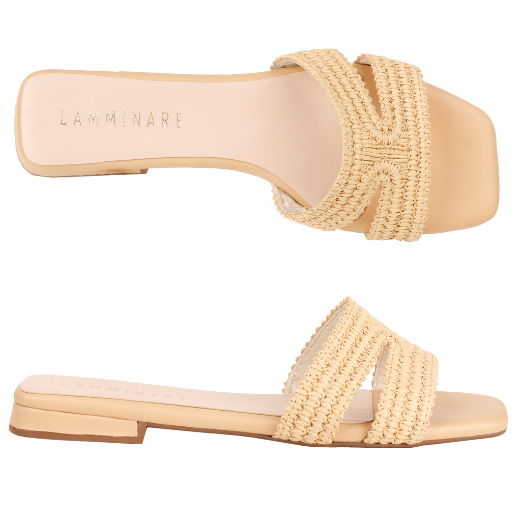 6691-20669-1 / MARYFER / CAB TEQUILA / CAJA DE 12 PARES