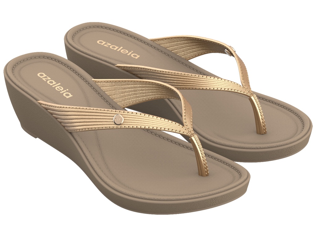 18511_AE346 / GRENDENE / ORO / CAJA DE 6 PARES