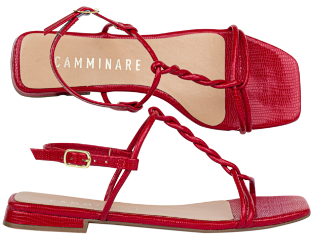 MARYFER / LIZARD INP INV.23 SCARLETH / CAJA DE 12 PARES