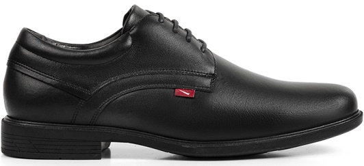FERRACINI / ALPINA PRETO  / CAJA DE 12 PARES